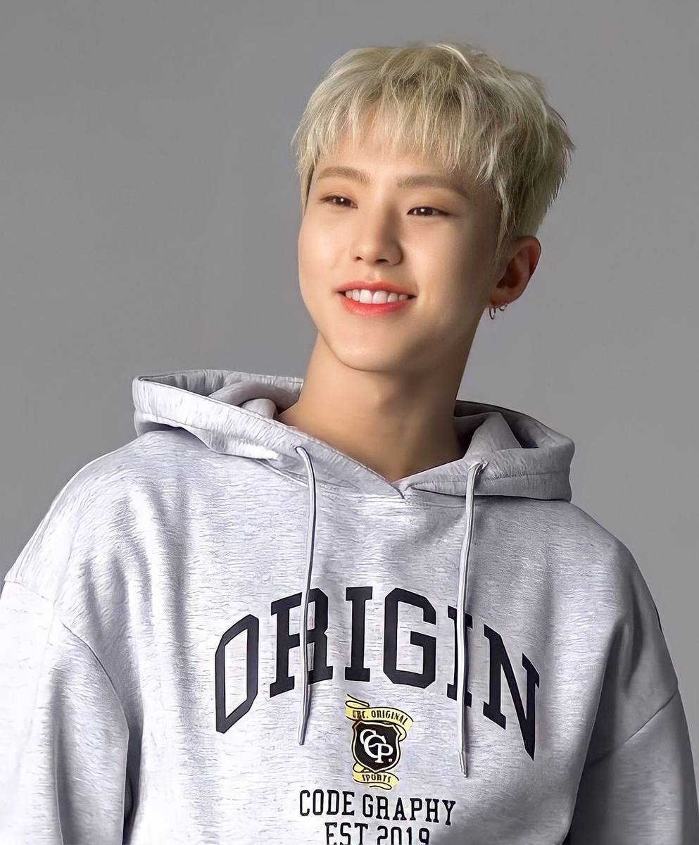 Hoshi of Seventeen, the K-pop idol and Jongga kimchi brand ambassador — kimchi europe health