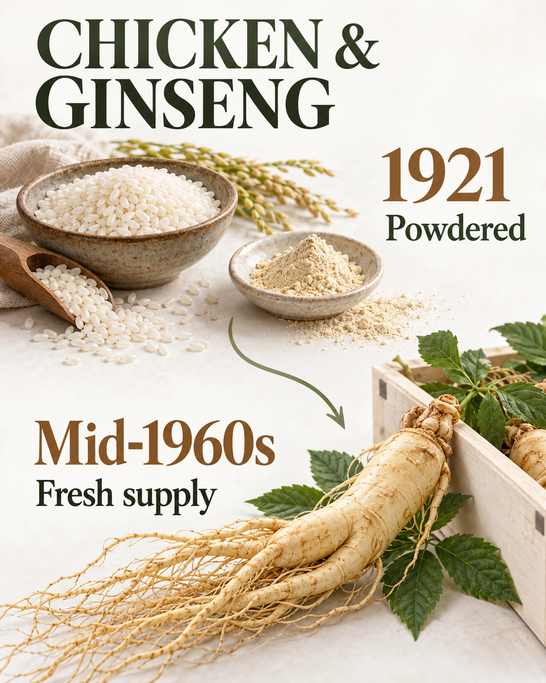 Rice and powdered ginseng marked 1921 beside fresh ginseng supply marked Mid-1960s.